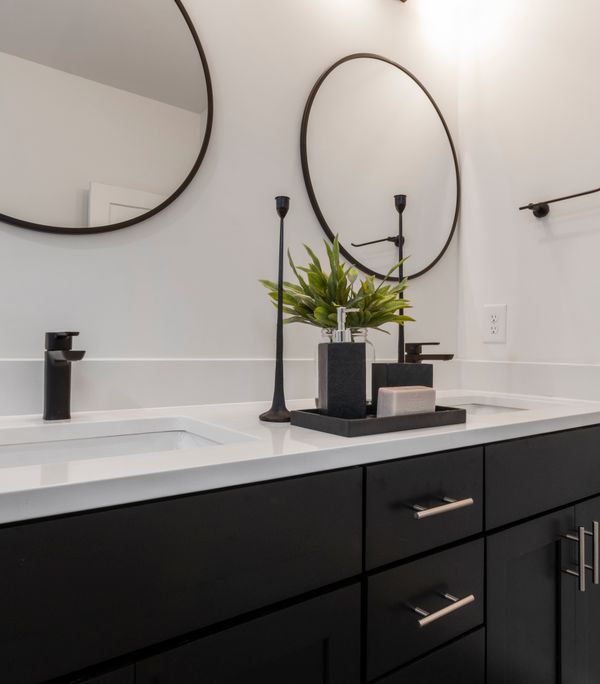 Baptisia Vanity, 48"